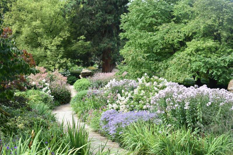 Close-up of hands planting lavender along a stone garden border